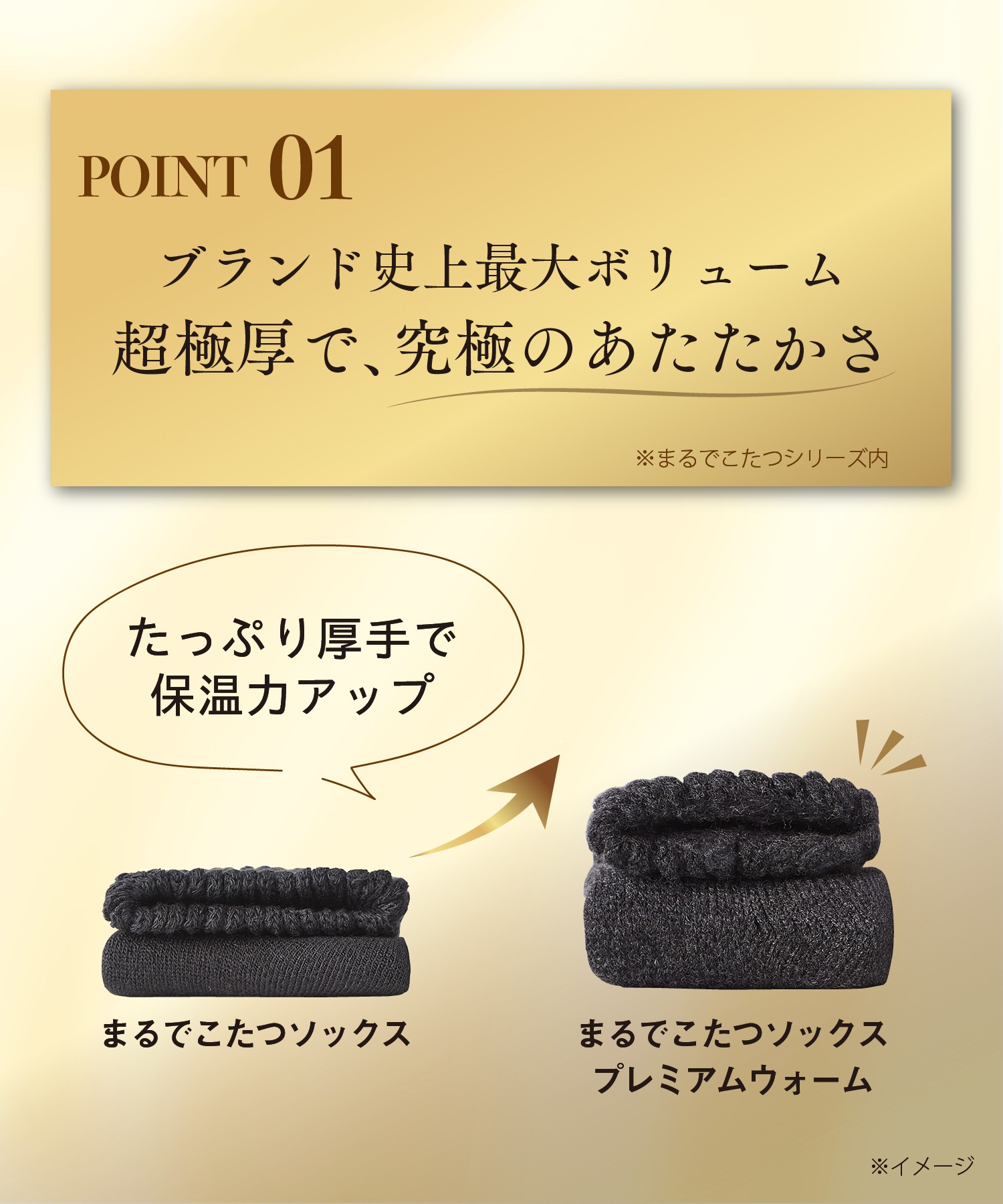 まるでこたつプレミアムウォーム 　アッシュグレー2個セット まるでこたつプレミアムウォーム アッシュグレー2個セット 靴下