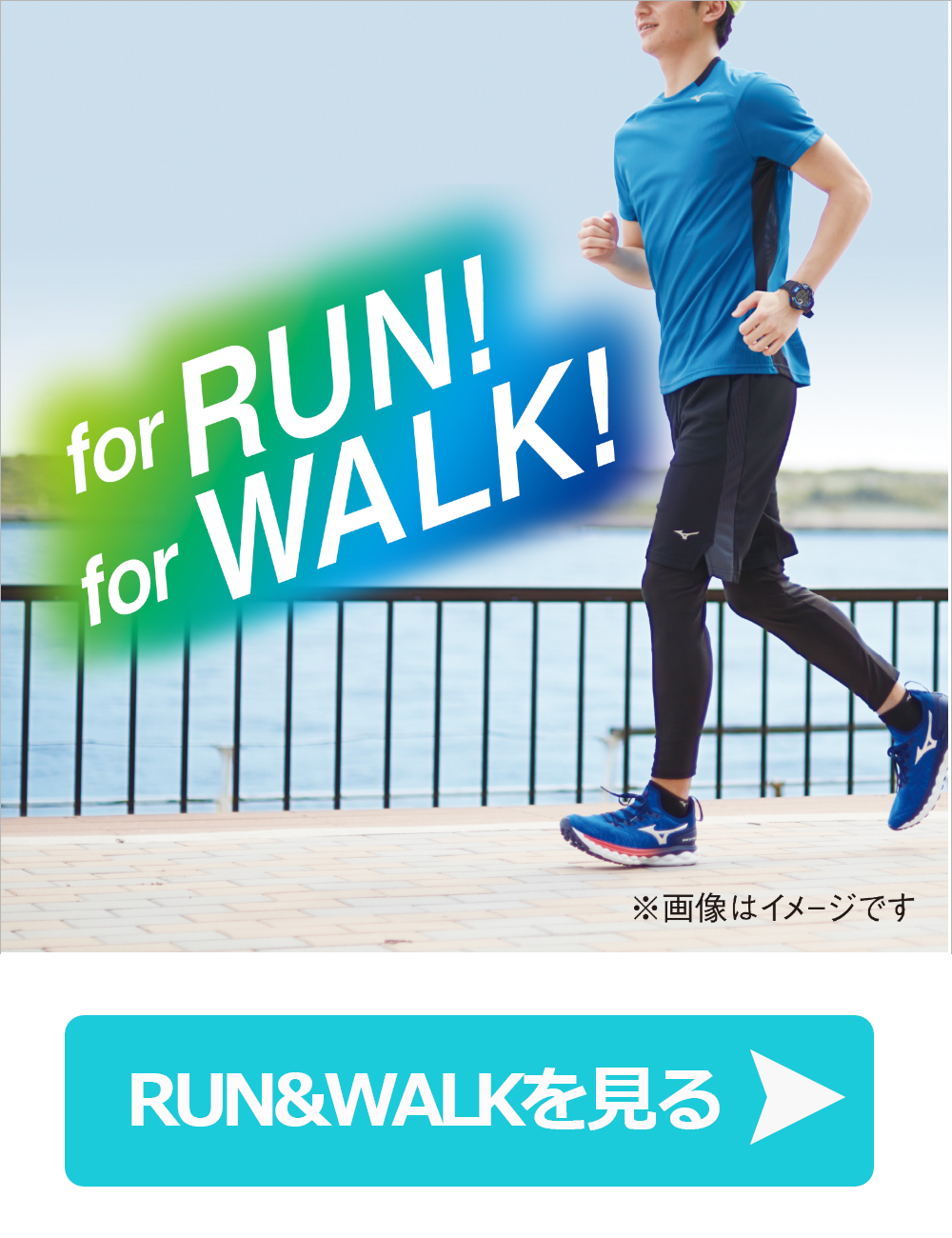 靴下の岡本公式 Yahoo!ショッピング店 - MIZUNO｜Yahoo!ショッピング