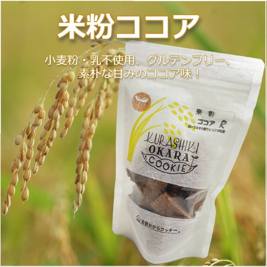 美品 国産大豆の倉敷ソイチップス のり塩味100ｇ 国産大豆100％ 無添加 ノンフライ jadom.org