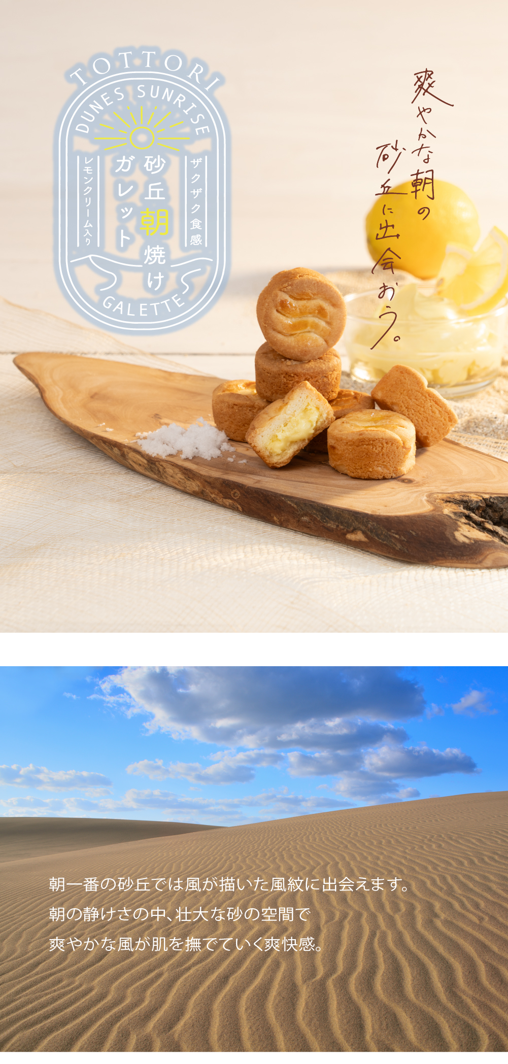 寿製菓 焼き菓子 ガレット 2025 3個入 鳥取砂丘 お土産 御礼 手
