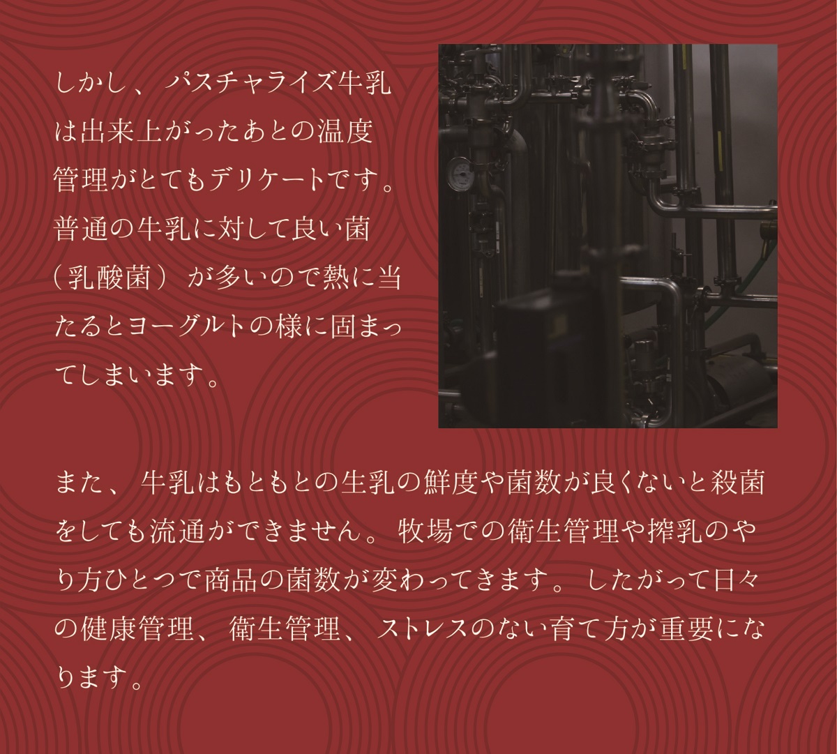 冠婚葬祭 ギフト 御挨拶 2024 プレゼント 雲太（うんた）カノザ バウムクーヘン 寿製菓 お返し 内祝 ご縁 贈り物 ギフト 手土産 感謝 :  knz009 : 寿製菓オンラインストア - 通販 - Yahoo!ショッピング