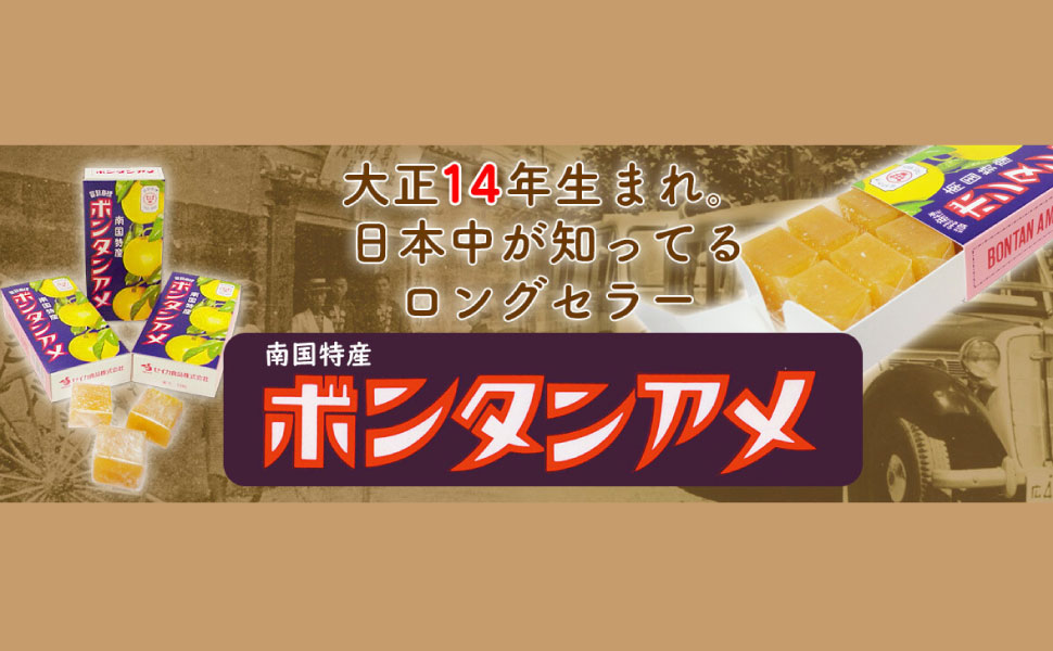 SEIKA セイカ食品 ボンタンアメ 14粒 （10個） 鹿児島 文旦 ぼんたん