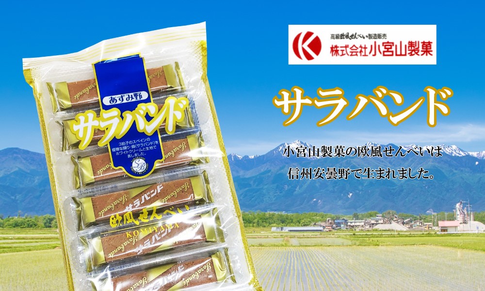 小宮山製菓 サラバンド （10袋） 洋菓子 信州 安曇野 ホワイトクリーム バニラ味 クッキー おやつ 駄菓子 ご当地 茶菓子 クリームサンド :  0803 : Smile菓彩 - 通販 - Yahoo!ショッピング