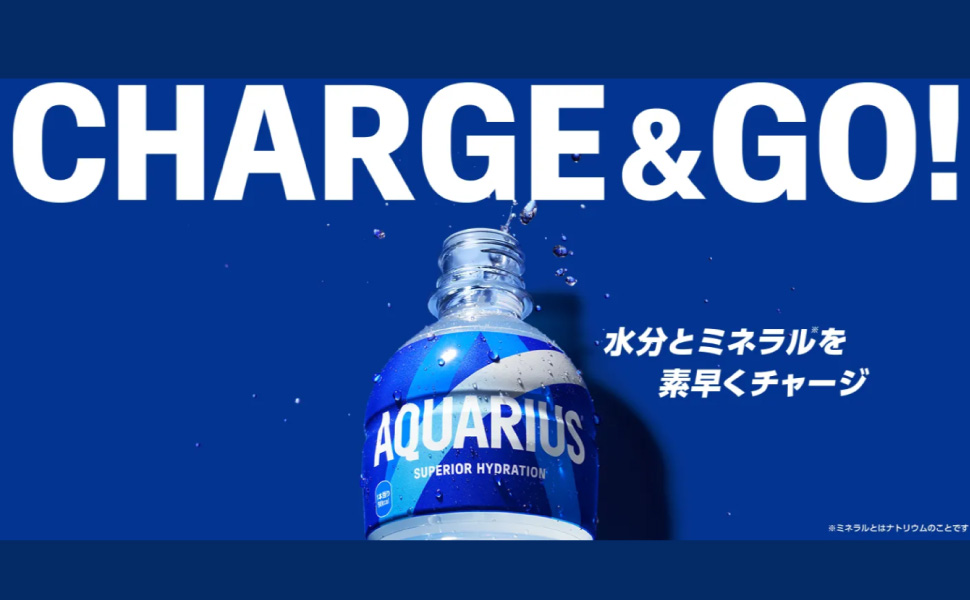アクエリアス 500ml 24本 （24本×1ケース） PET アクエリ スポーツ飲料