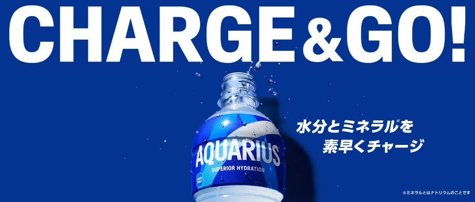 アクエリアス 500ml 48本 （24本×2ケース） PET アクエリ スポーツ飲料