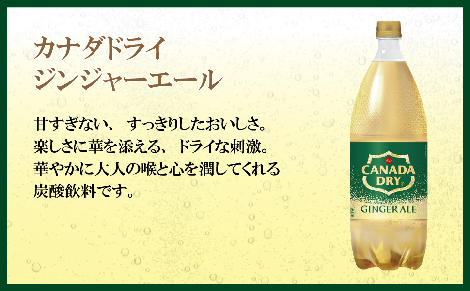 カナダドライ ジンジャーエール 1500ml 12本 （6本×2ケース） PET 炭酸