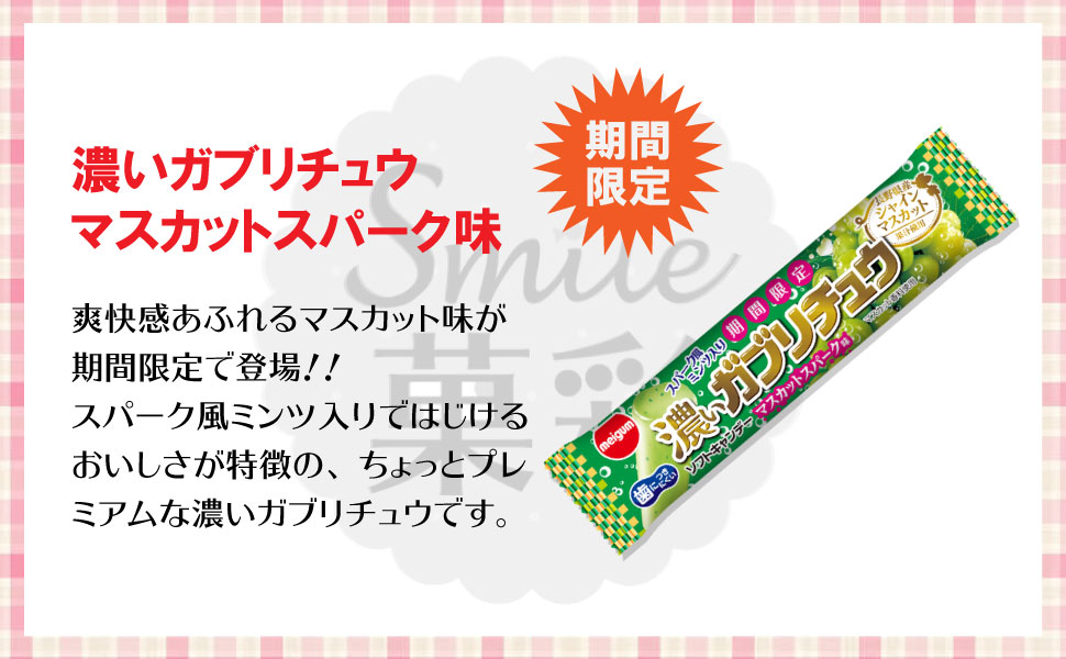 ロングチュー3種＆ガブリチュウ4種 詰め合わせ 42個 （7種類×各6個
