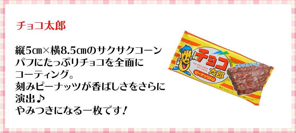 菓道 チョコ太郎（20個入） チョコ 駄菓子 メール便 : 4971749110588