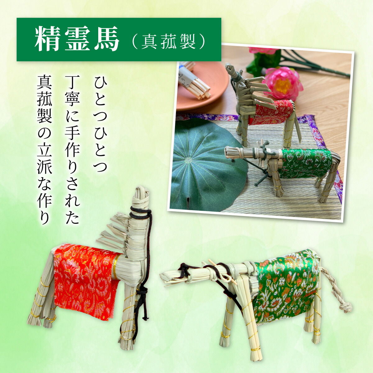 真菰 牛馬