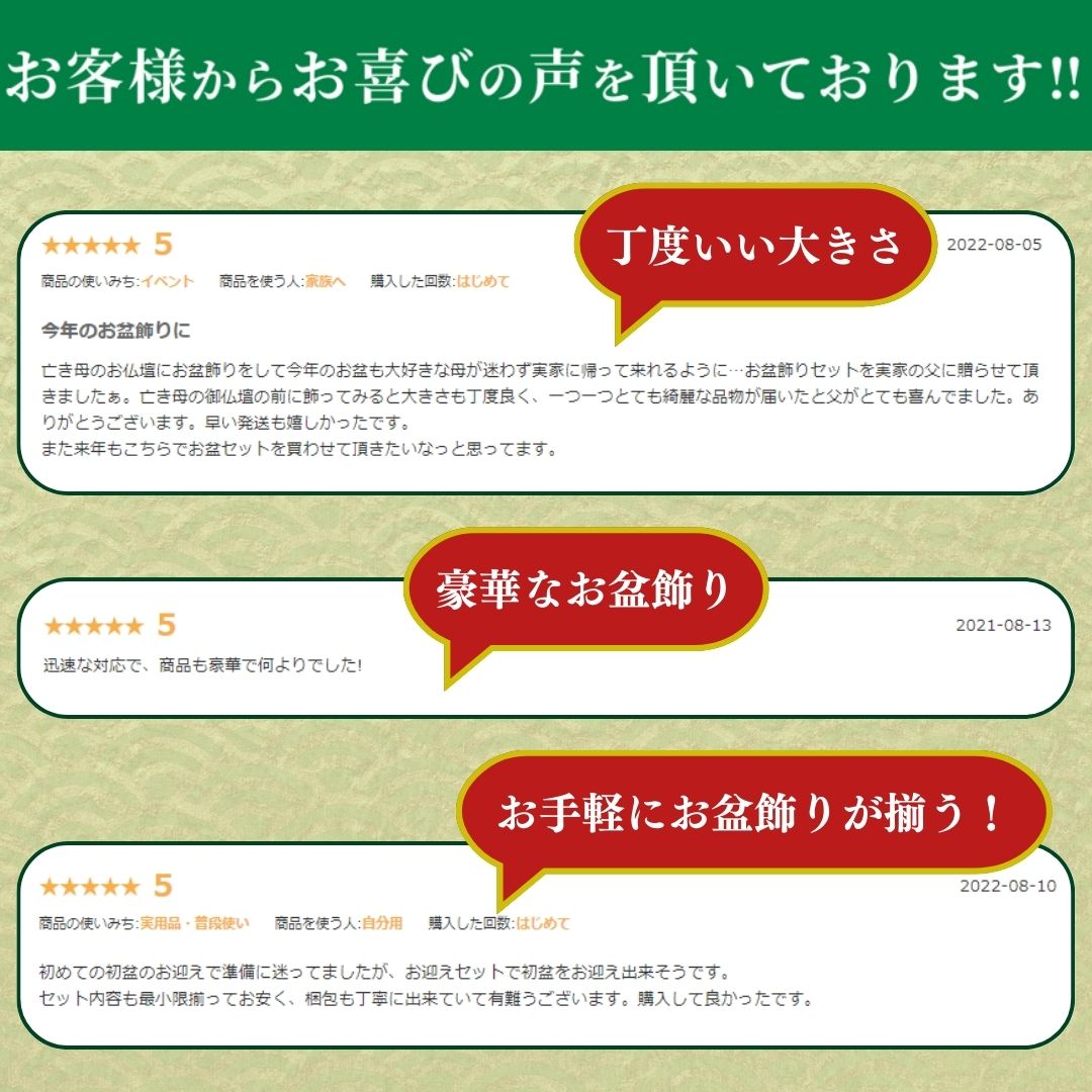 レビュー