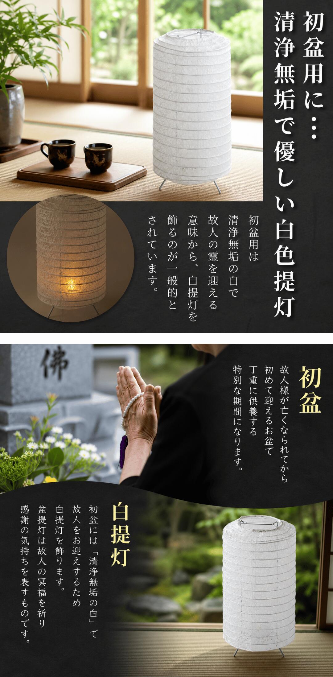 白提灯説明