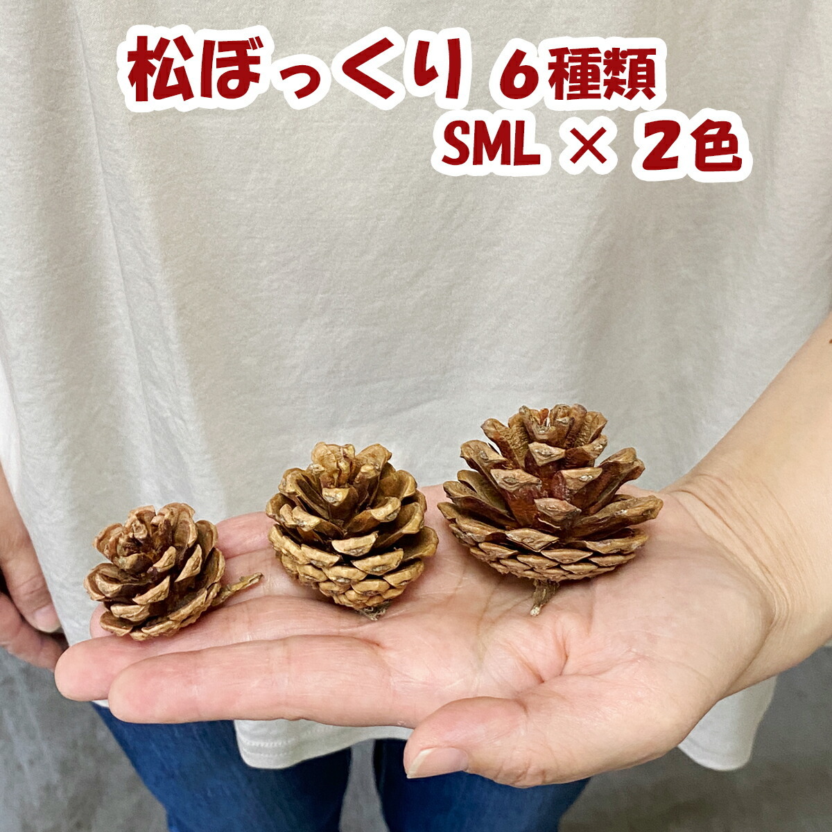 水引 材料 松ぼっくり パーツ 素材 ハンドメイド アレンジ 手作り 正月