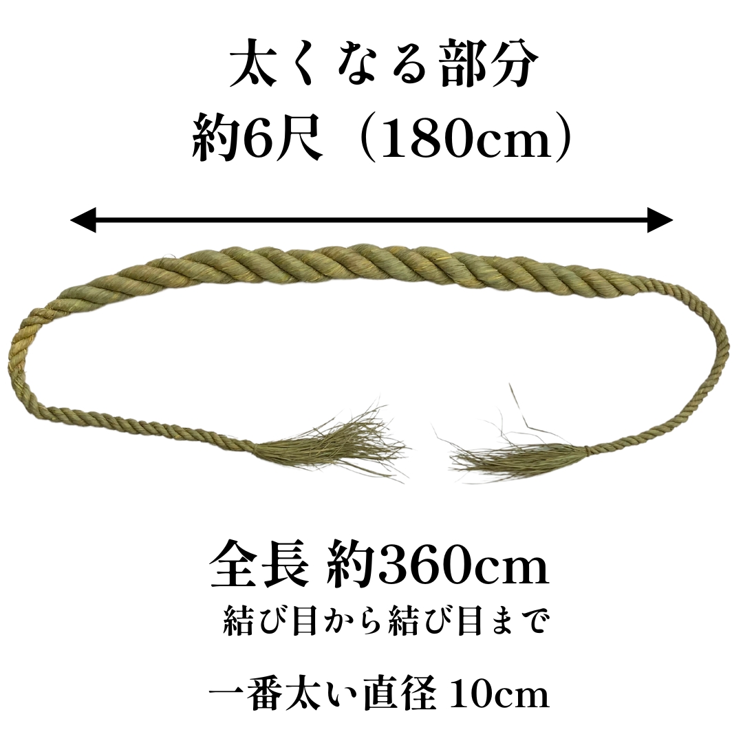 サイズ
