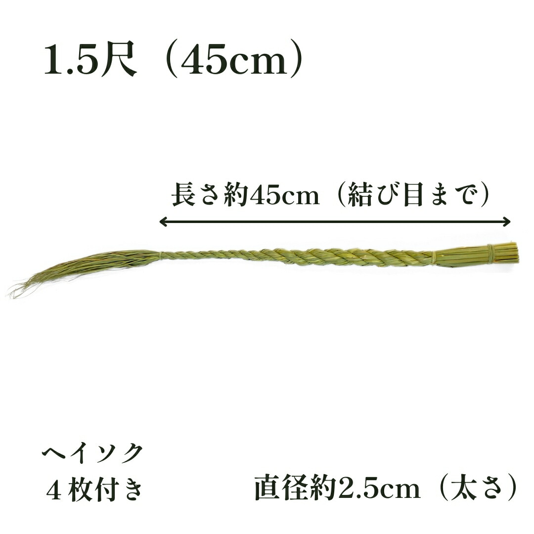 サイズ