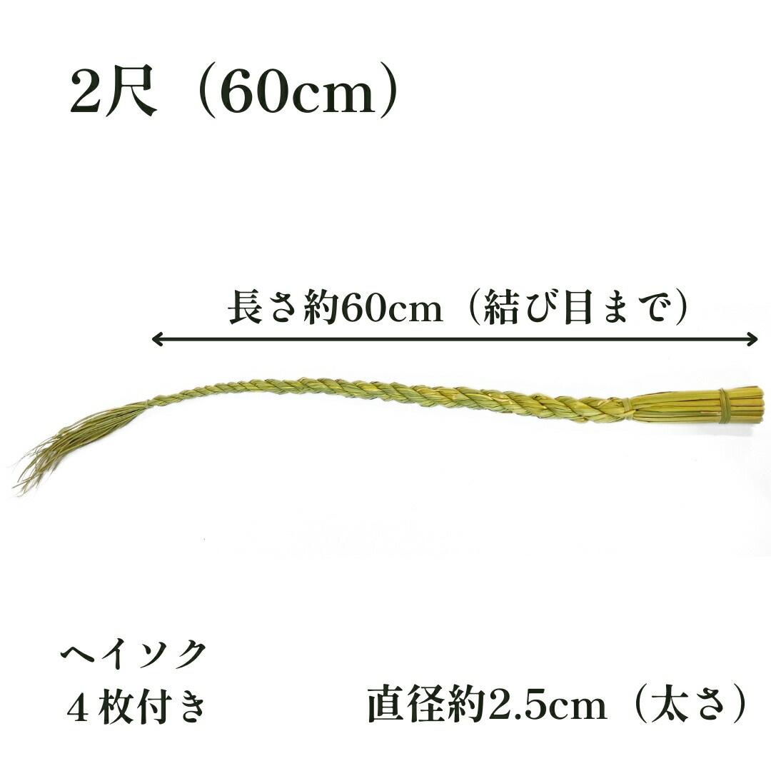 サイズ