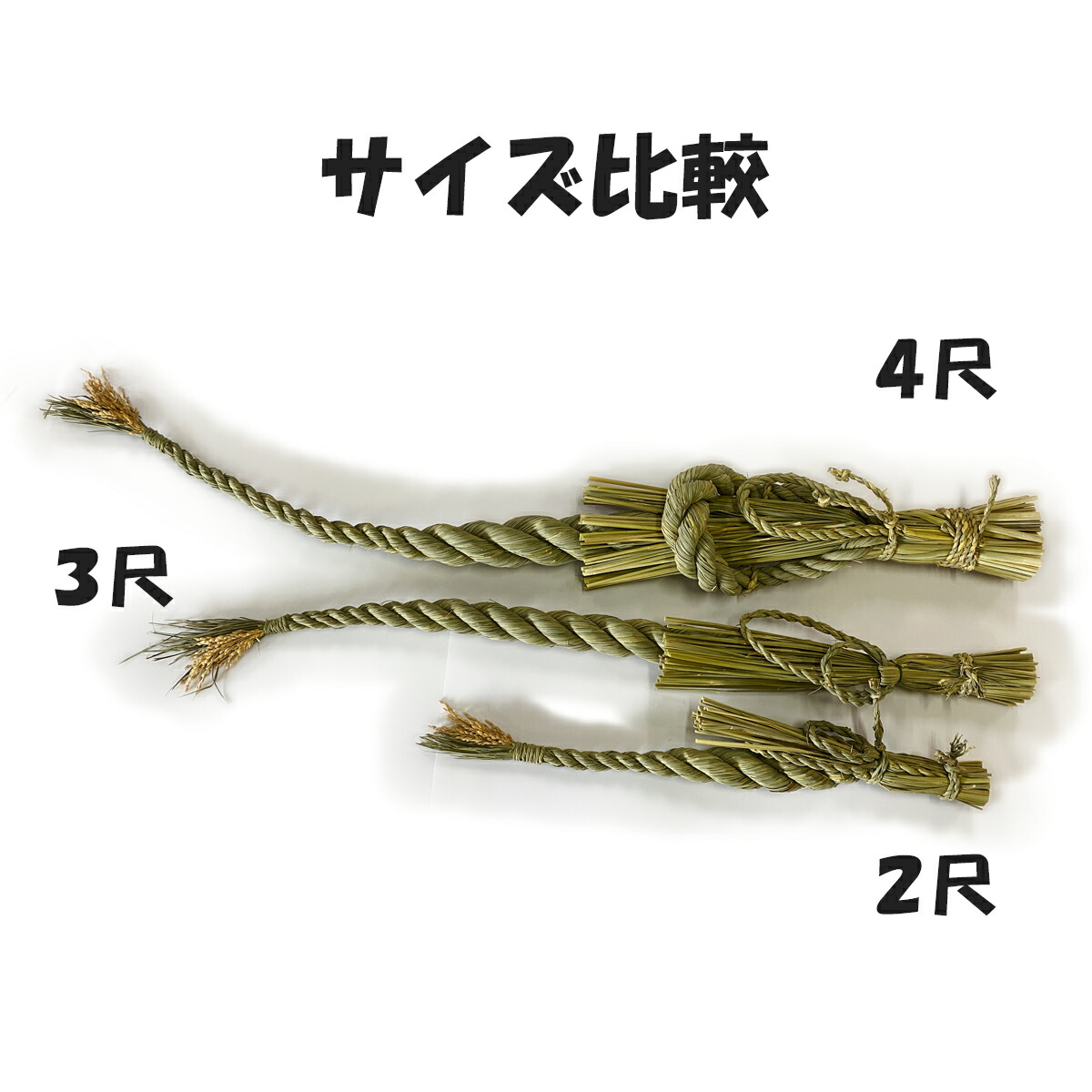 サイズ