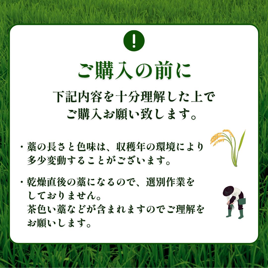秀〆（HIDESHIME） 正月飾り 材料 青藁 青わら 国産 1kg 大容量 お徳用