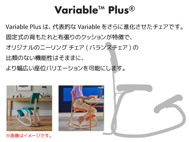varier VARIER ヴァリエール 【正規取扱販売店】バランスチェア varier VARIER ヴァリエール 【正規取扱販売店】バランスチェア