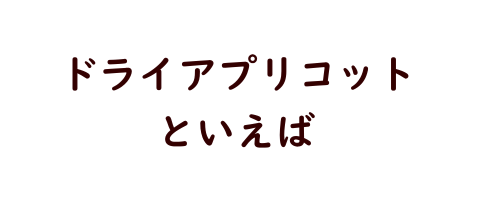 ドライフルーツ/ドライアプリコット/ドライあんず