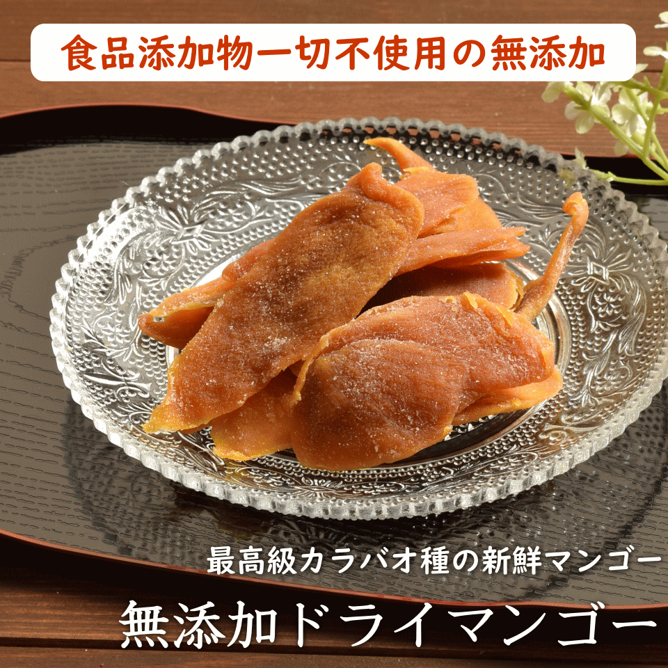 無添加 半生ドライマンゴー 500g 送料無料 太陽の恵みフィリピン セブ島産 Nutsday店 百貨店で大人気 無添加ドライマンゴー500g 100g 5袋 Dri 02 オーケーフルーツ 通販 Yahoo ショッピング