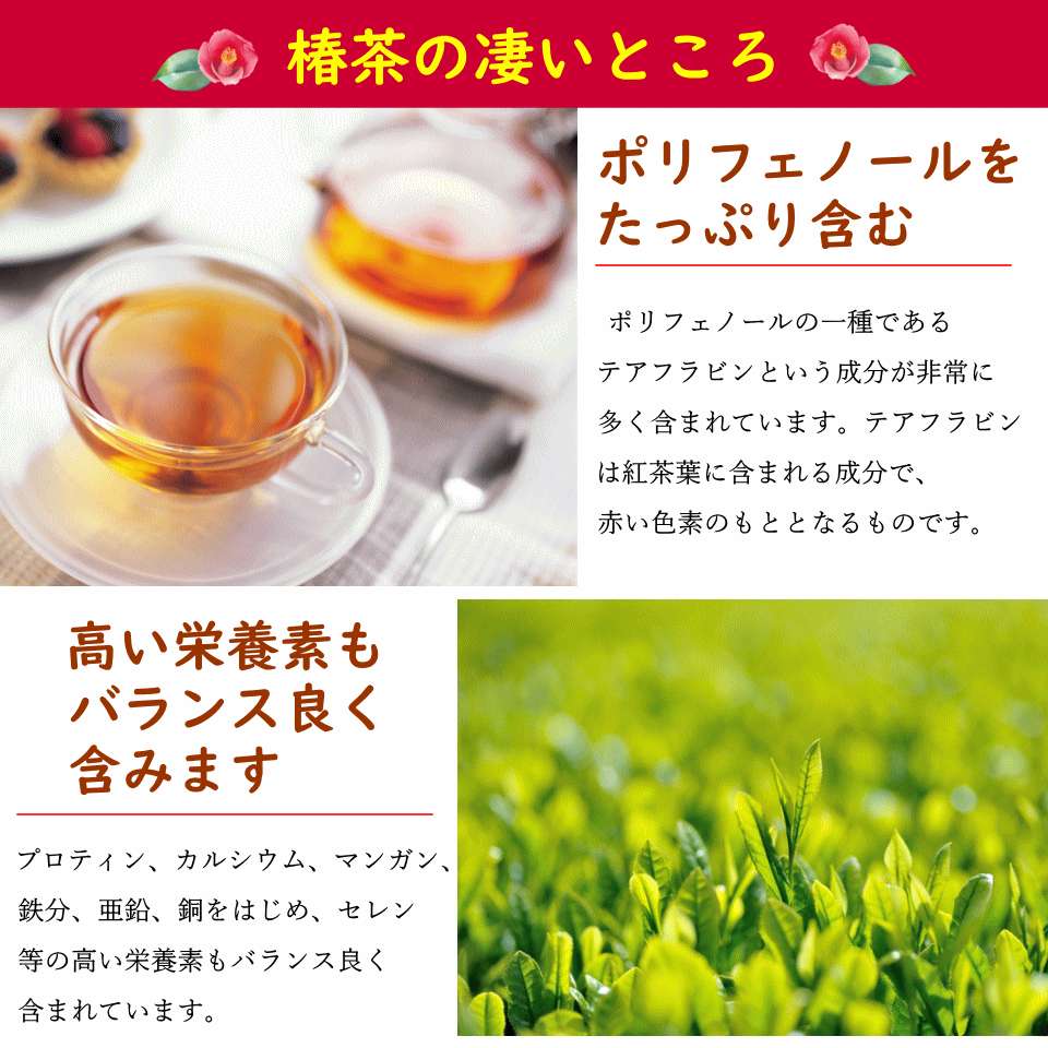 健康茶 無添加 最高級のアフリカつばき茶（ティーバッグ1個約3g×40包