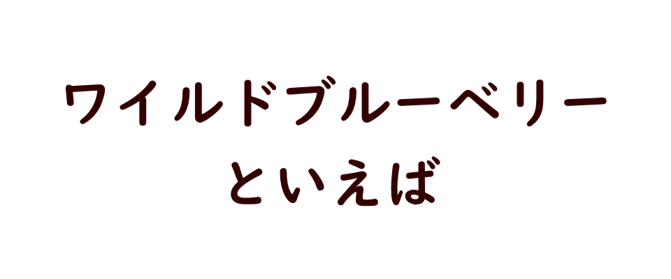 ドライフルーツ/ブルーベリー/ワイルドブルーベリー