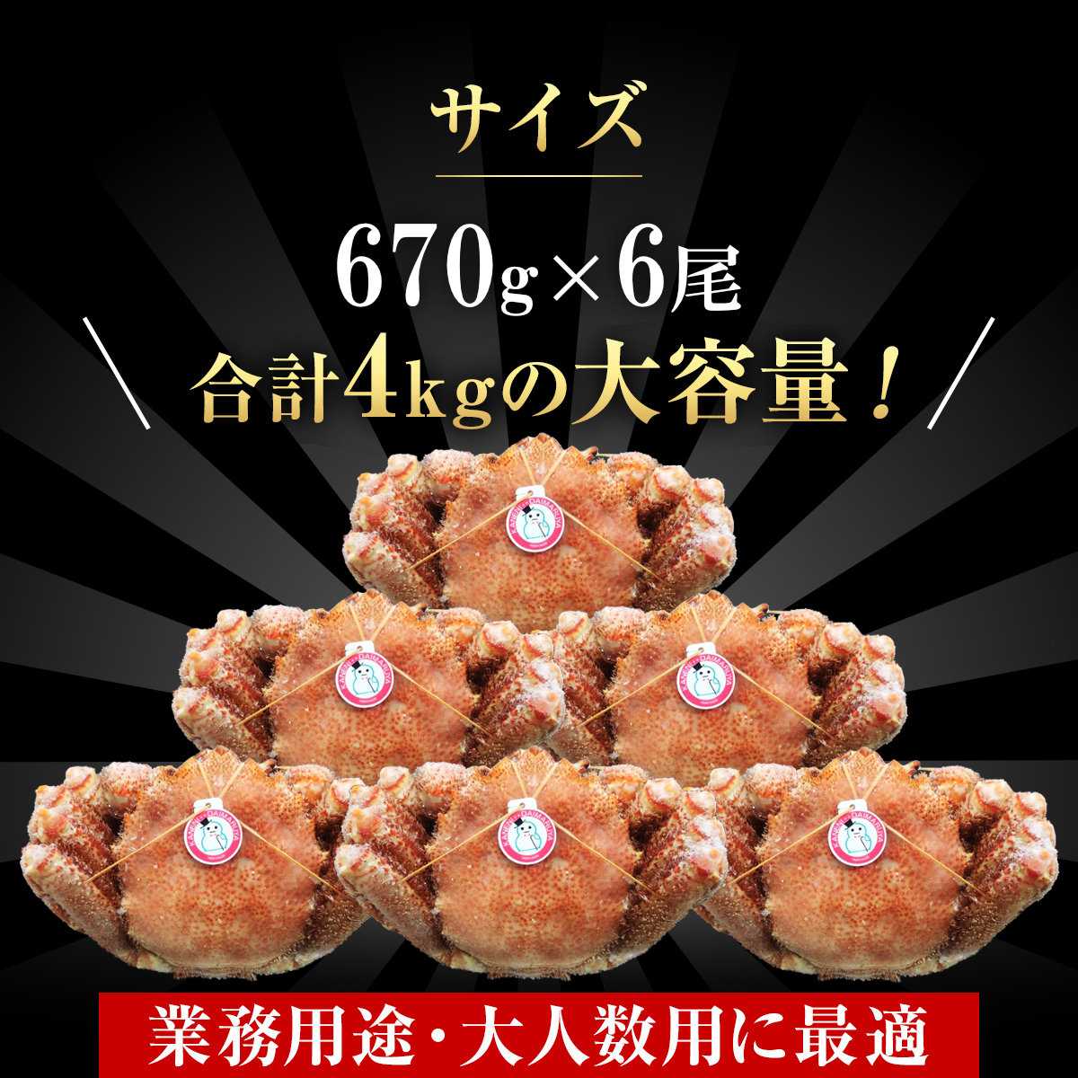 毛ガニのサイズ・容量