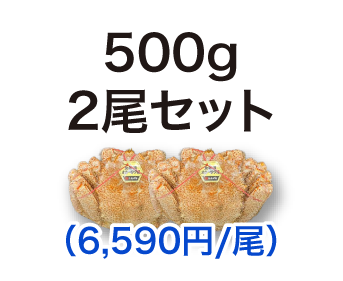 毛ガニ 500g 2尾セット