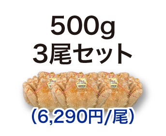 毛ガニ 500g 3尾セット
