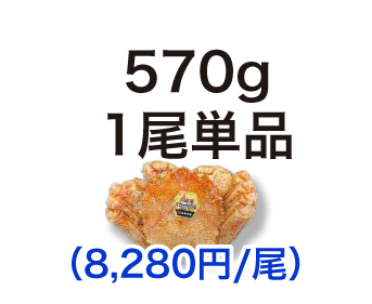毛ガニ 570g 1尾単品