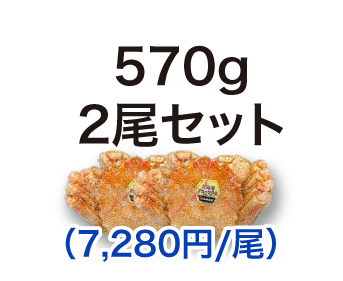 毛ガニ 570g 2尾セット