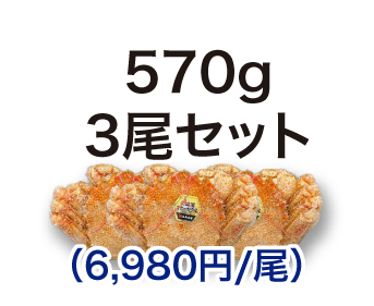 毛ガニ 570g 3尾セット