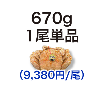 毛ガニ 670g 1尾単品