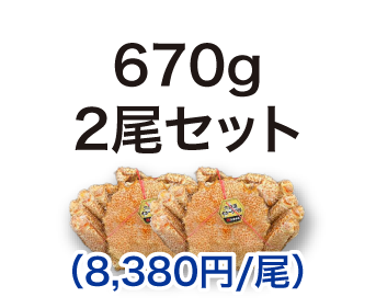 毛ガニ 670g 2尾セット
