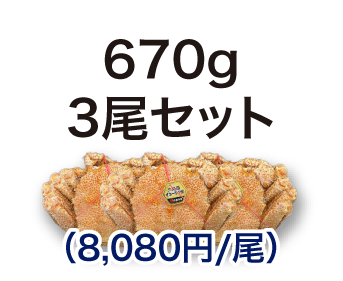 毛ガニ 670g 3尾セット