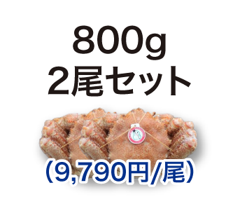 毛ガニ 800g 2尾セット