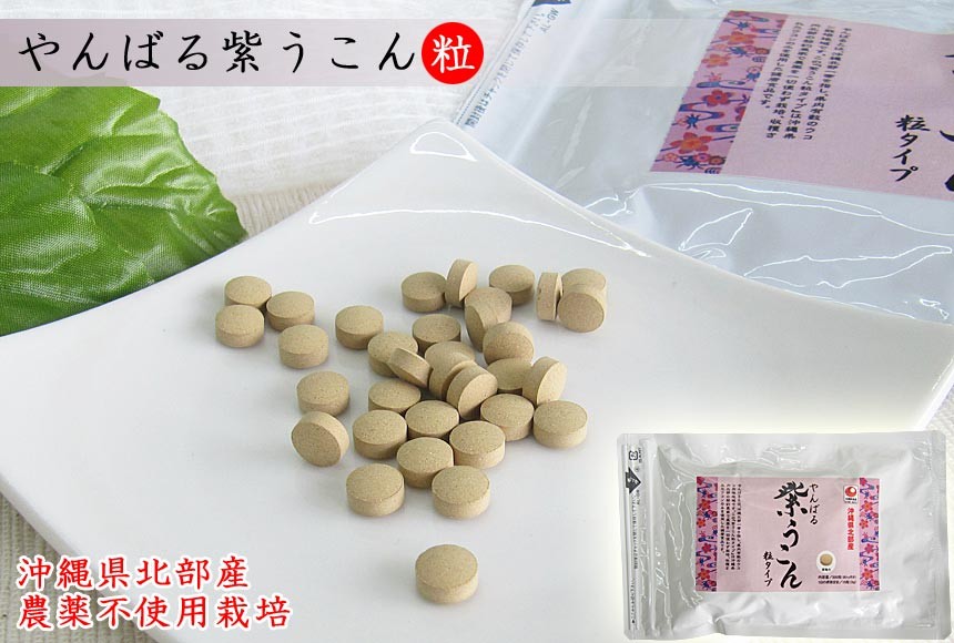 超美品 ウコンサプリ やんばる 紫ウコン 粒 500粒入 3個 沖縄産 ガジュツ ウコン堂 即納特典付き Technet 21 Org