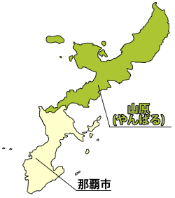 沖縄県やんばる産