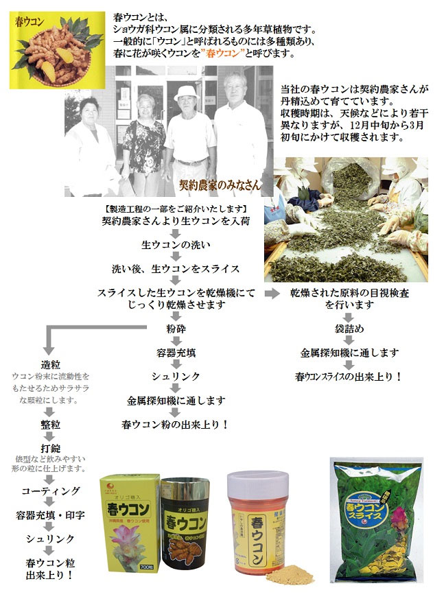 比嘉製茶　ウコン製造工程