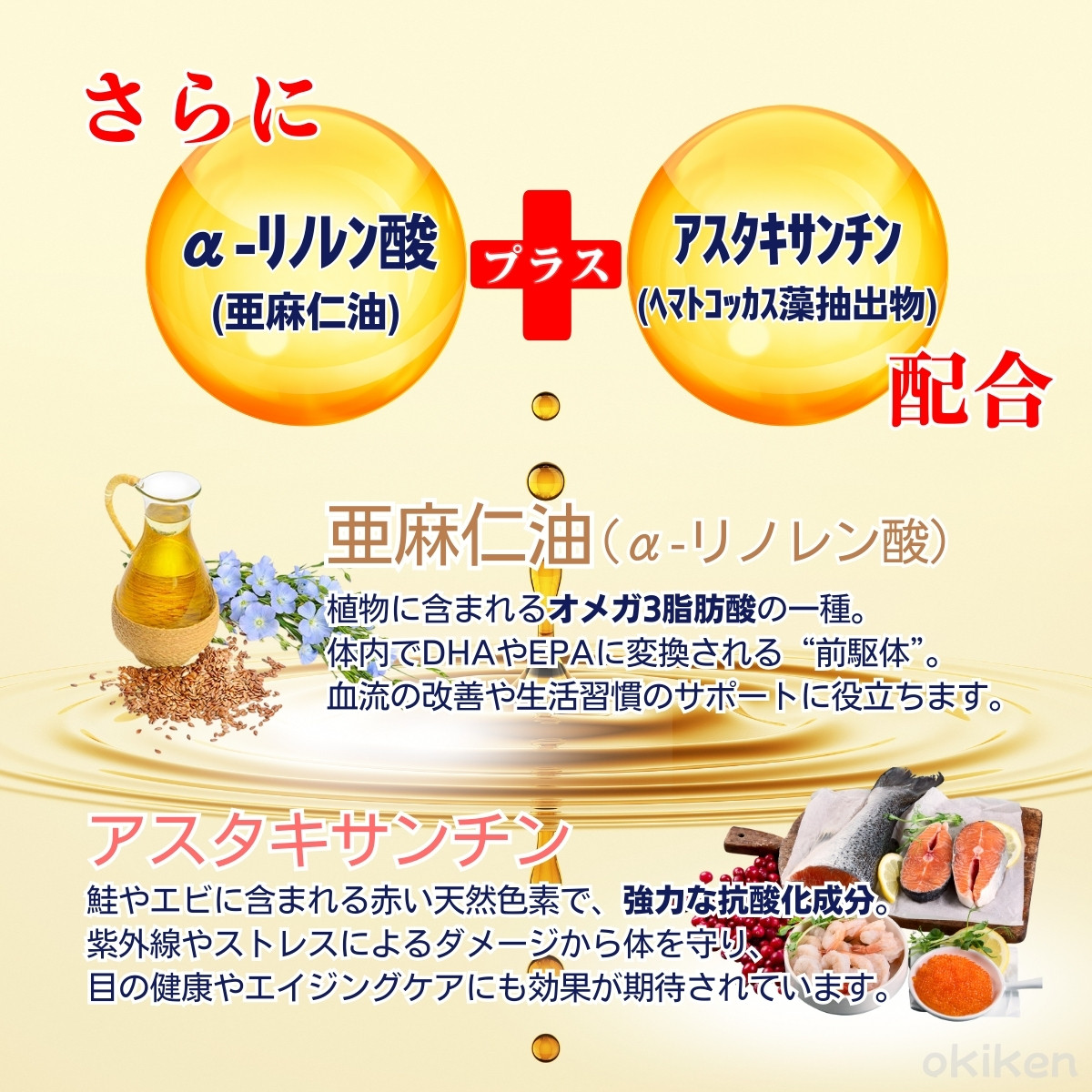 新世代オメガ3サプリメント オメガ3 サプリメント DHA EPA 必須脂肪酸 アマニ油 えごま油 送料無料