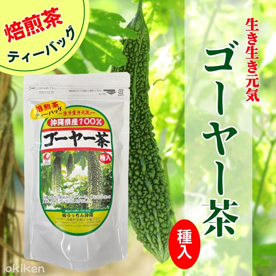 ゴーヤー茶 沖縄県産 30包×2袋セット 種入り 国産 ゴーヤ茶 ティー