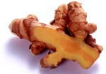 秋ウコン 根茎