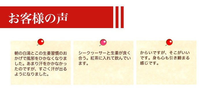 おいしい生姜習慣