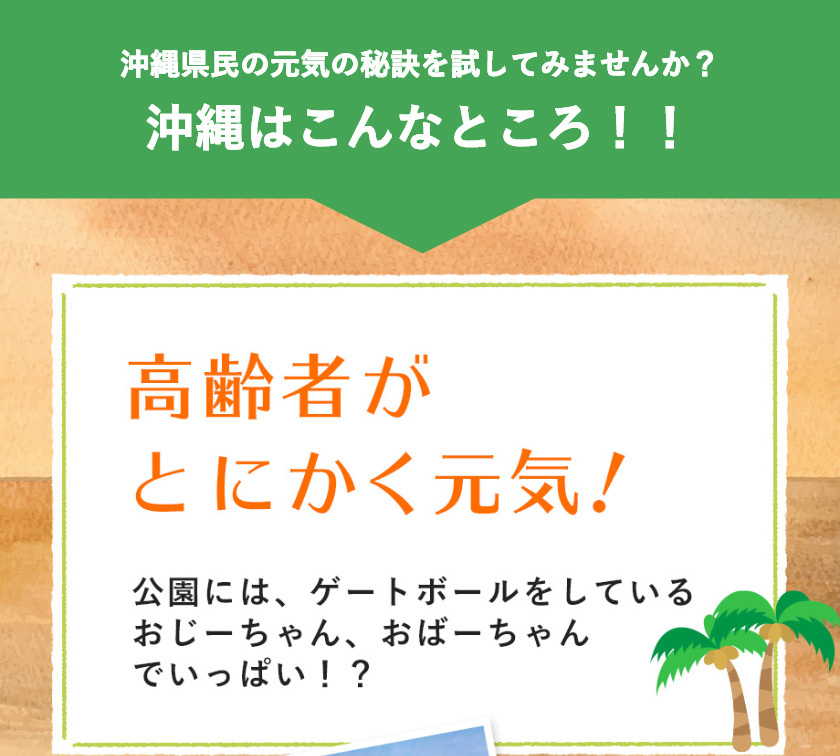 沖縄アロエお試し商品2020