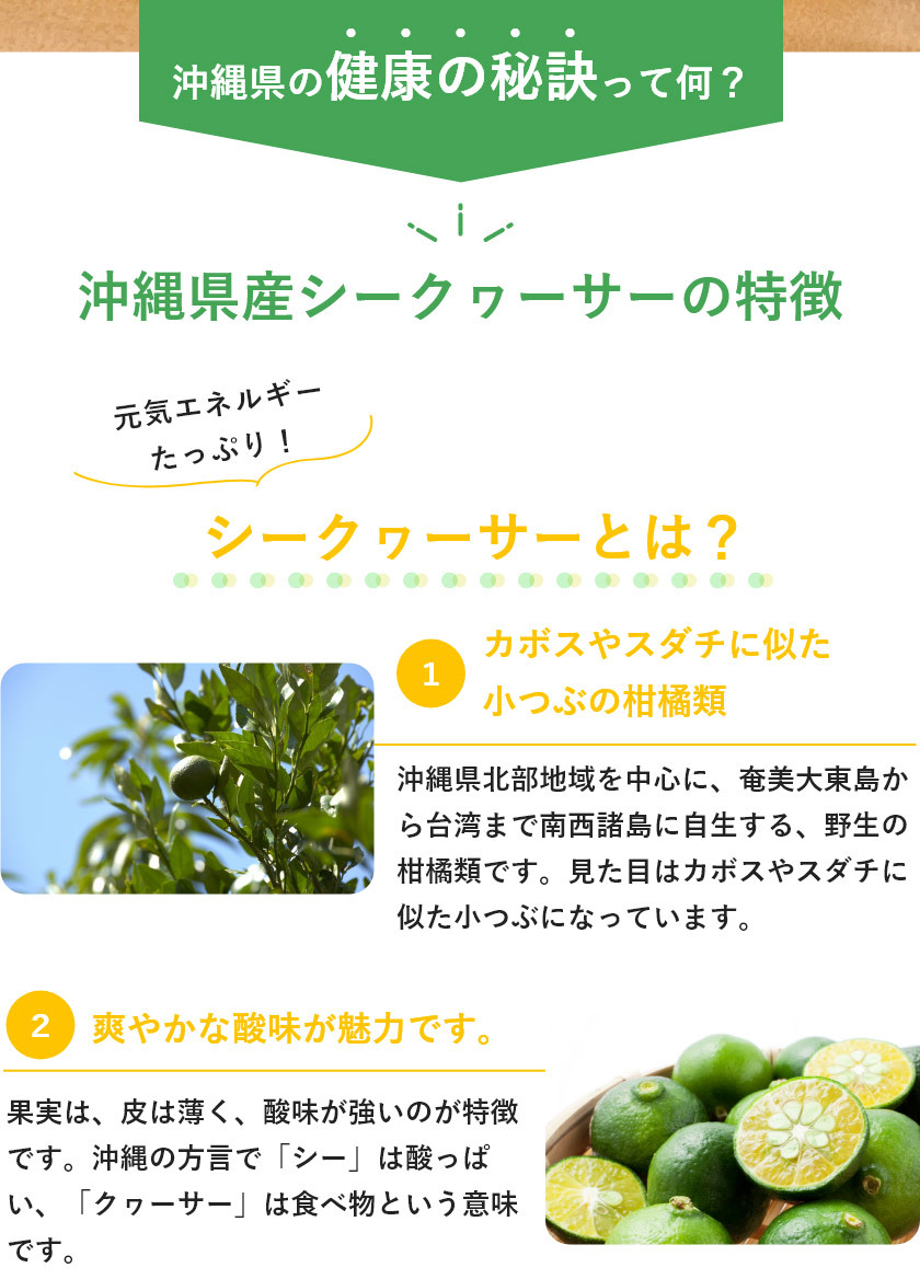 沖縄アロエお試し商品2020