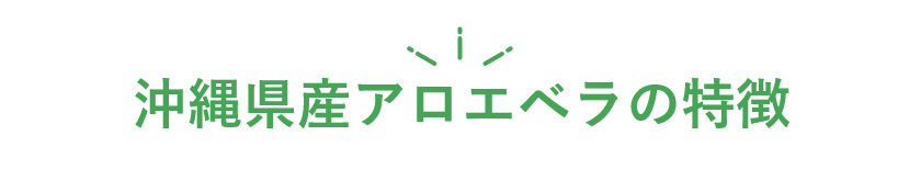 沖縄アロエお試し商品2020