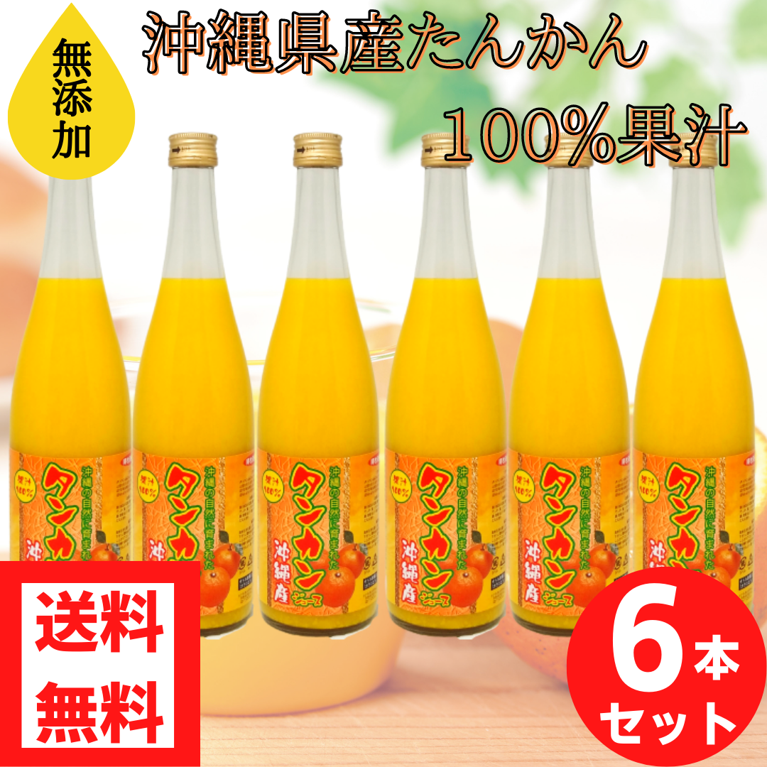 沖縄県産たんかんジュース2L✕2本　沖縄のみかんジュース 沖縄県産たんかんジュース2L✕2本 沖縄のみかんジュースの通販