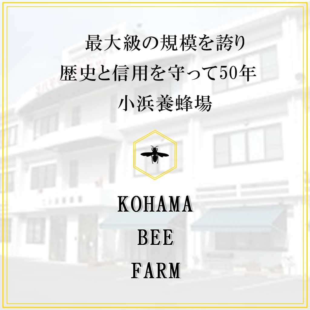 コハマのハチミツ 百花ハチミツ 原液 はちみつ 蜂蜜 小浜養蜂場 500g