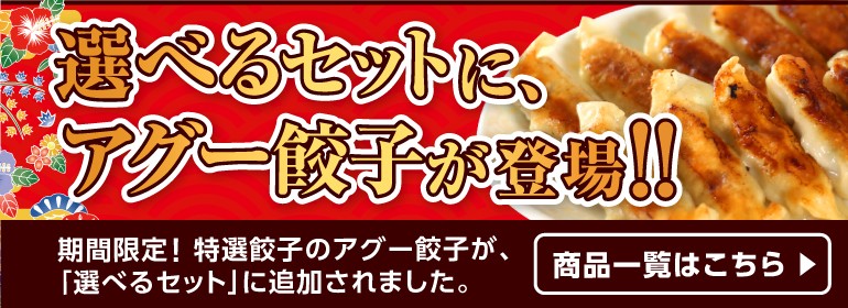 餃子右衛門 in 沖縄 伊勢の国 ぎょうざ衛門 満月餃子 16個×2箱: 惣菜・ご飯のお供