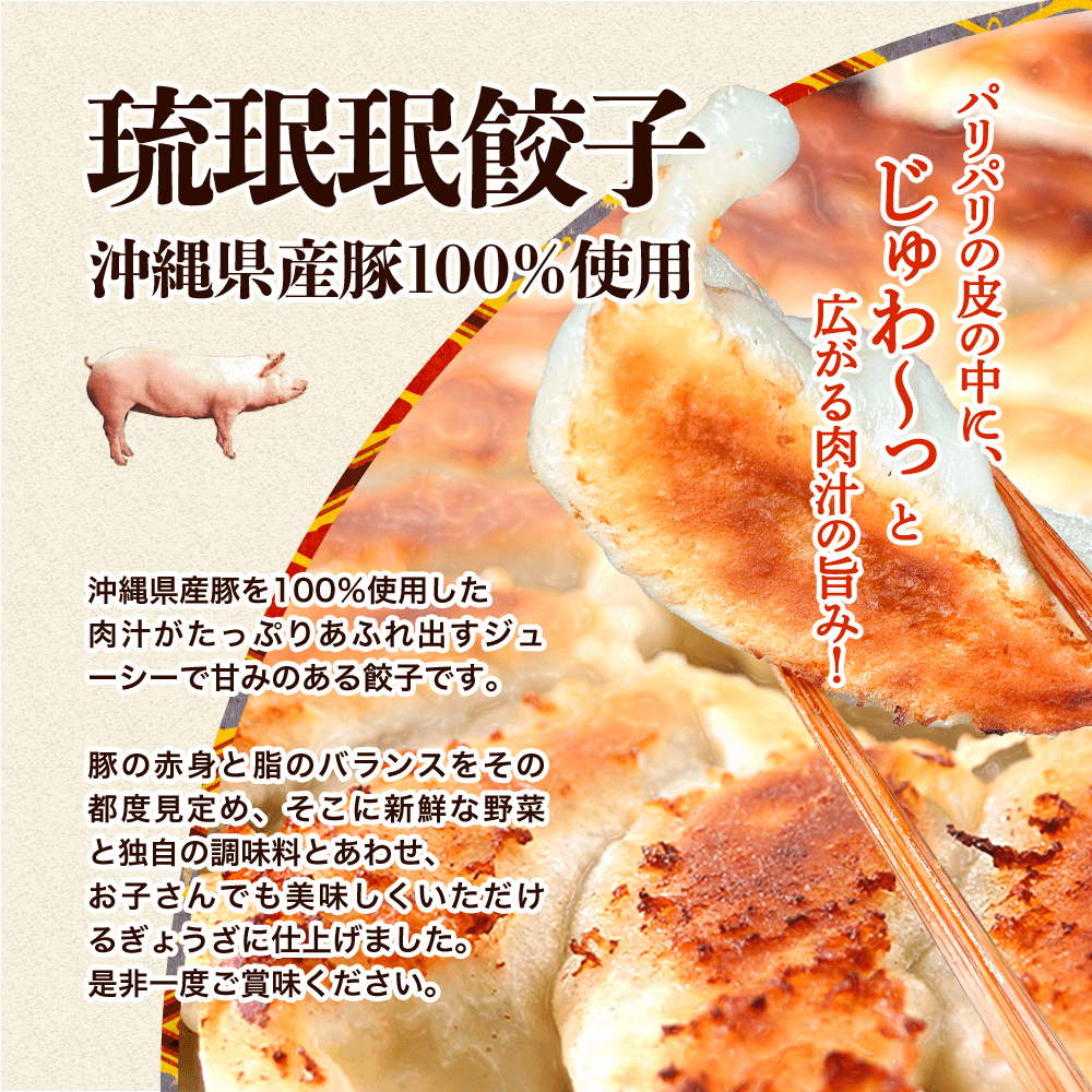 餃子 沖縄 アグー豚 もずく にんにく ゴーヤー イカスミ 島とうがらし 取り寄せ 琉みんみん 96個入 8パックセット 冷凍餃子 点心